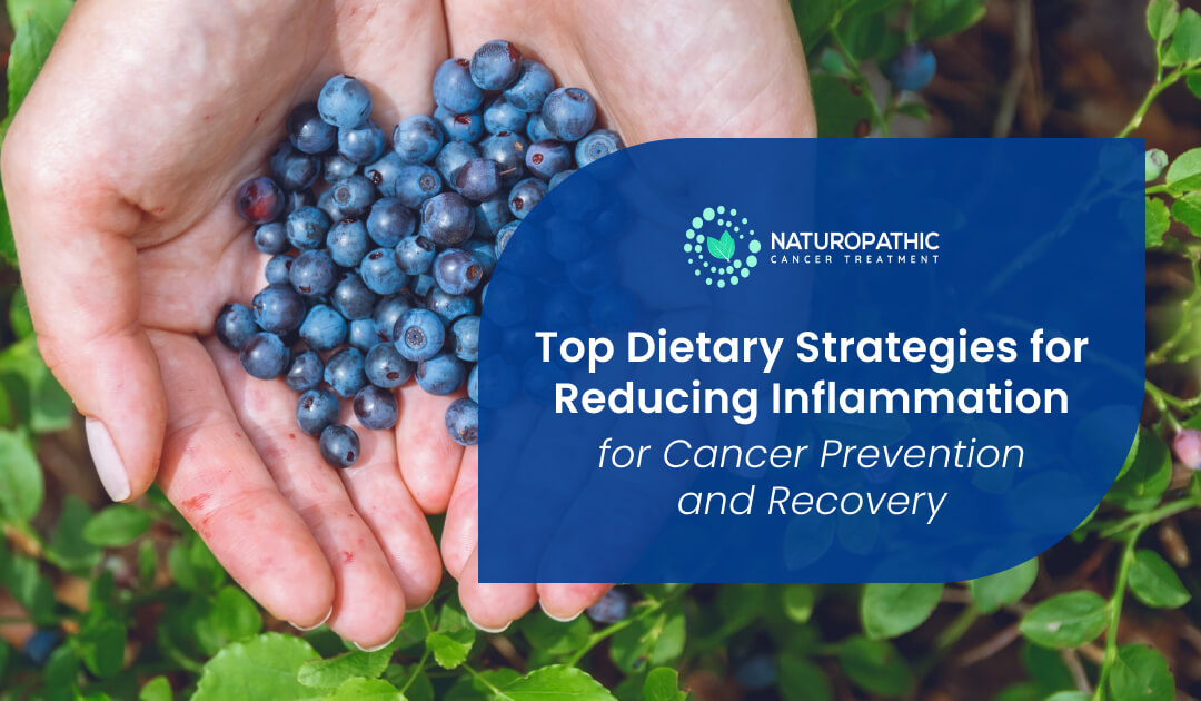 Top Dietary Strategies for Reducing Inflammation for Cancer Prevention and Recovery