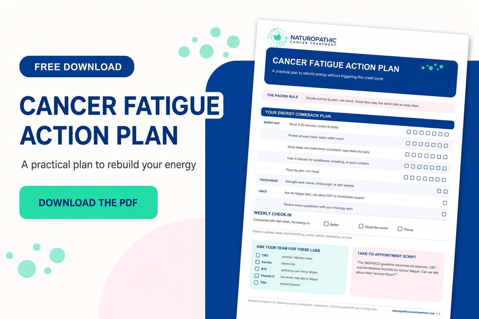 Download the free Cancer Fatigue Action Plan Download the free Cancer Fatigue Action Plan, with a preview of the printable energy plan and tracking worksheet.